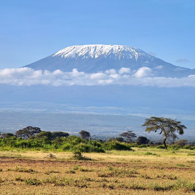Kilimanjaro