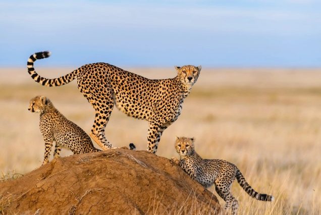 2 Nights / 3 Days - Best Camping Experience Tour