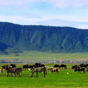 Ngorongoro Crater