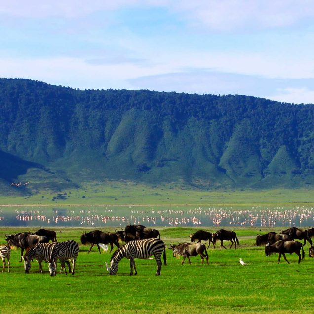 Ngorongoro Crater
