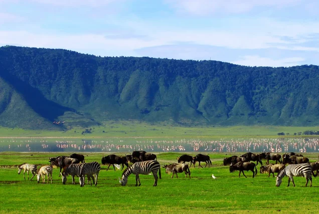 Day Trip Ngorongoro Crater