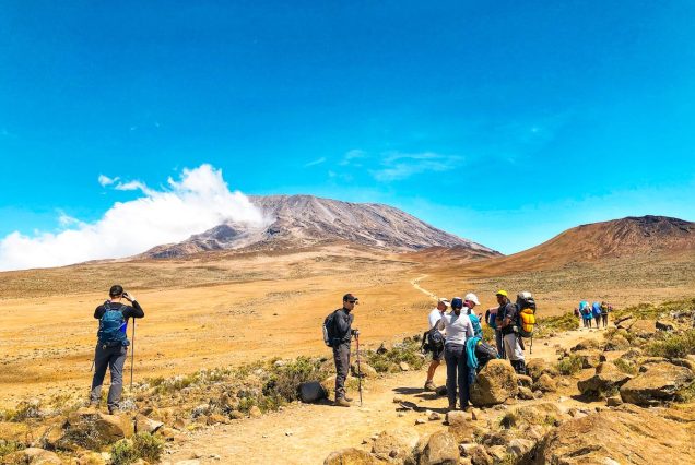 7 Days Machame Route Trek - Kilimanjaro Climb